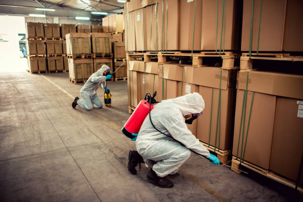 Reliable Mount Vista, WA Pest Control Solutions
