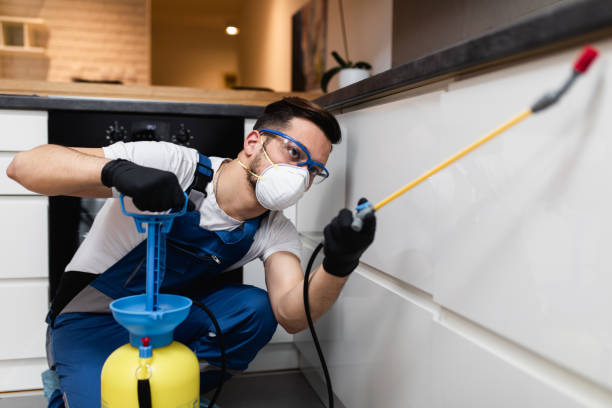 Best Local Pest Control Services  in Mount Vista, WA