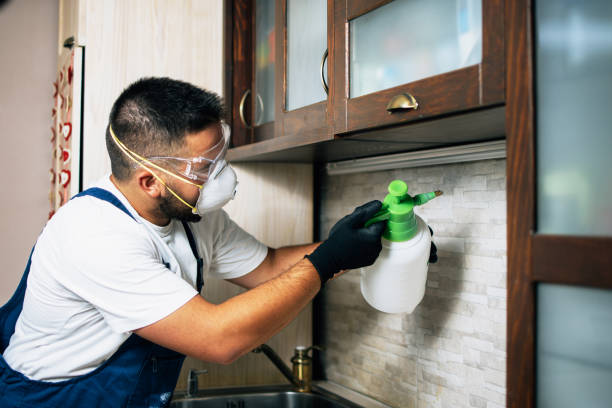 Best Residential Pest Control  in Mount Vista, WA