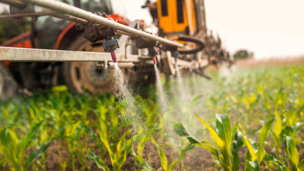 Best Ant Control Services  in Mount Vista, WA